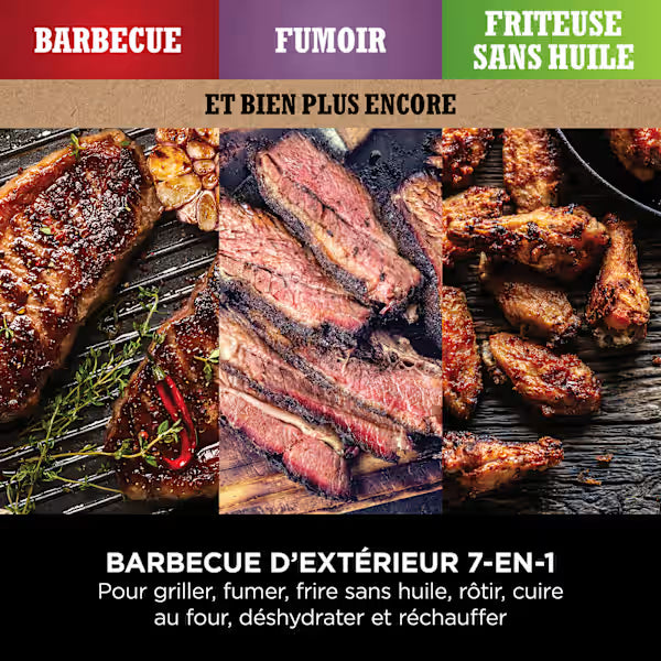 Barbecue électrique & Fumoir Ninja Woodfire avec support et housse