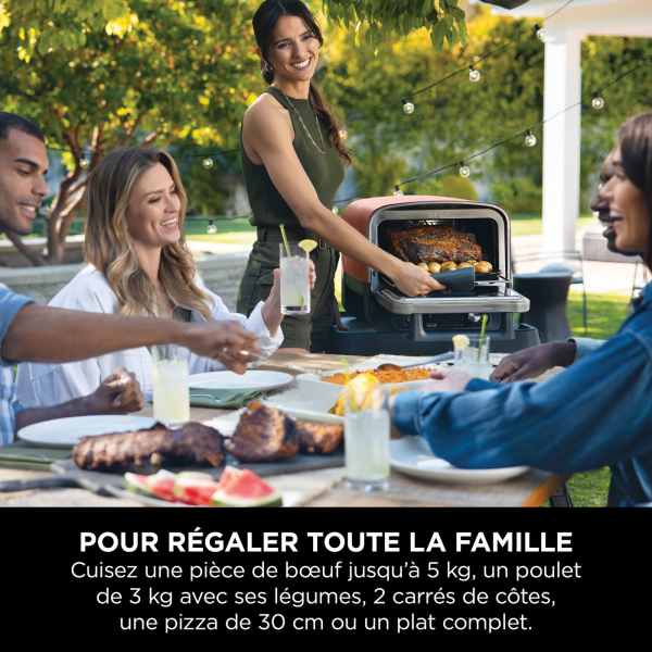 Four d’extérieur Ninja Woodfire OO101EU